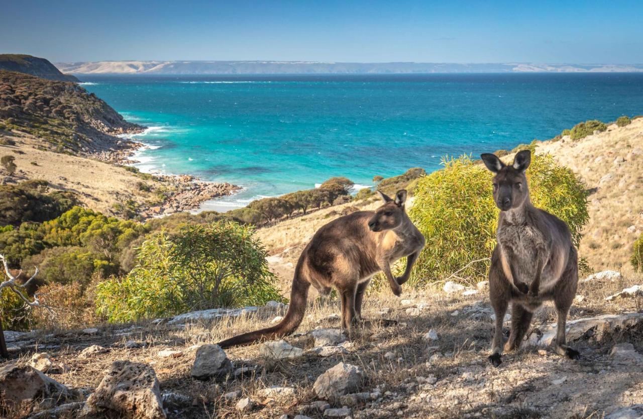 Sea Dragon Kangaroo Island Penneshaw Екстер'єр фото