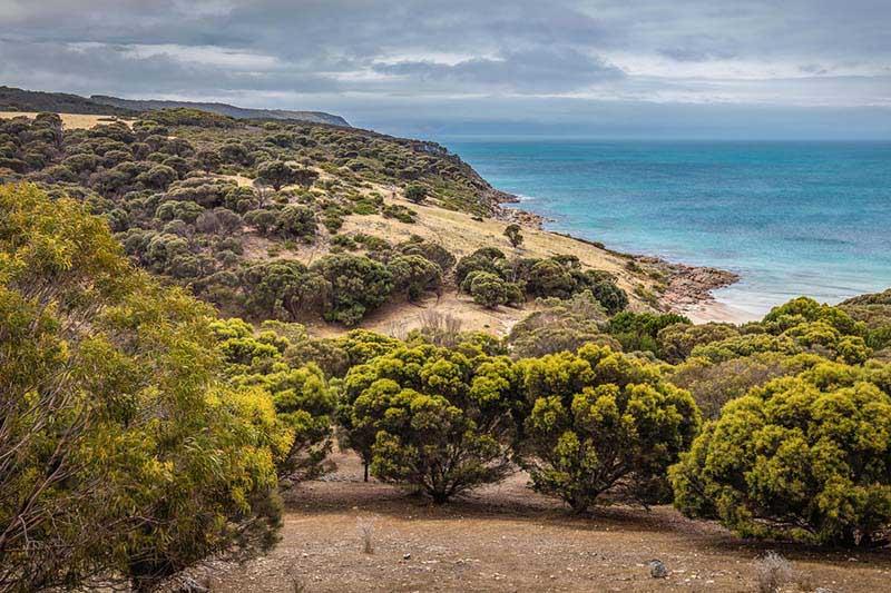 Sea Dragon Kangaroo Island Penneshaw Екстер'єр фото